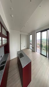 Embassy Garden Penthouse Full refurbishment